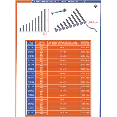 Alyan Çekti̇rme Vi̇dası  M6X80 Ni̇kel